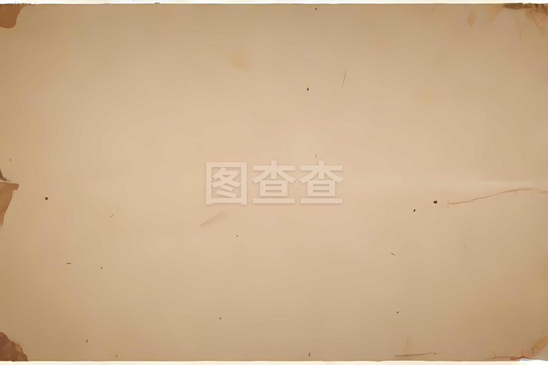 纸业新动态：丰泰纸业引领行业变革